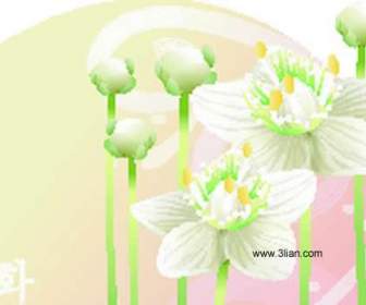 白のベクターの花