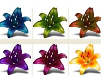 wild lily material png