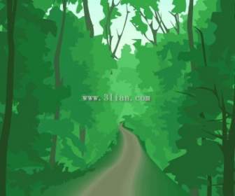 Wald-Wanderwege