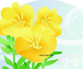 Żółty Kwiat