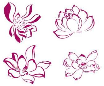 Lotus Lotus Di Zhang Daqian