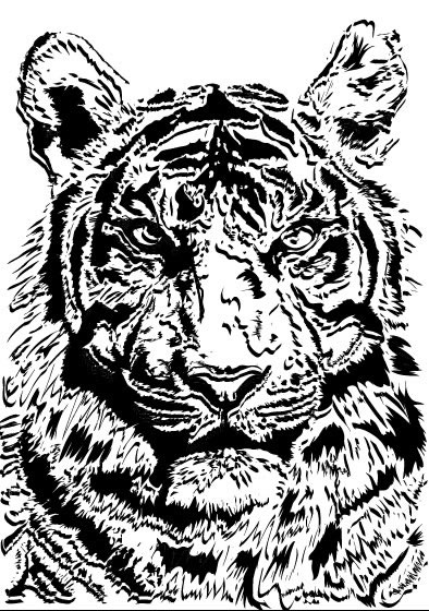 effets de fusion d'image tigre