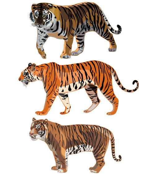 Tigre imprime pintura em aquarela