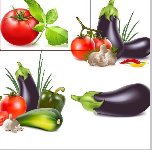 Tomato And Eggplant