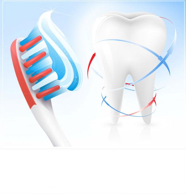 Tooth And Toothbrush Design