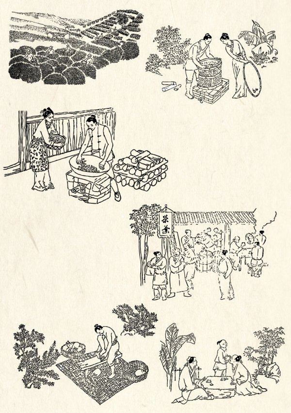 Traditional Tea Line Drawing
