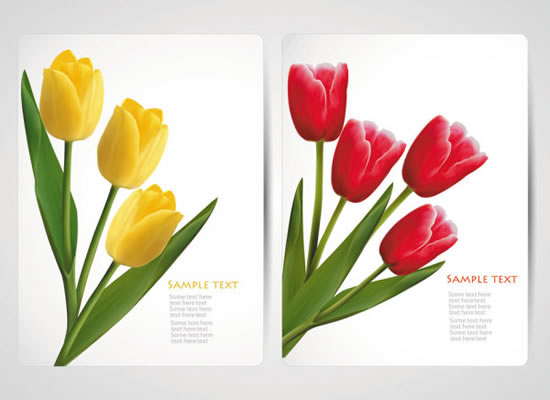 carte di tulipano