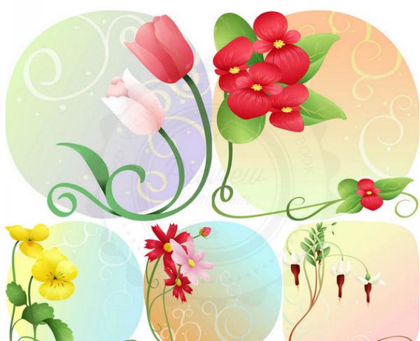 diseños florales de la flor de tulipán