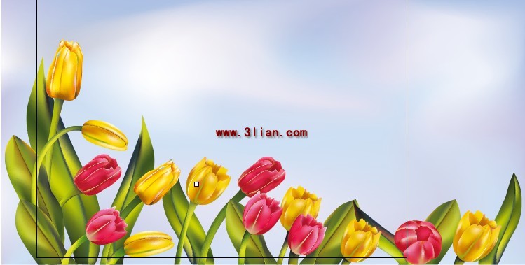 tulipano materiale eps