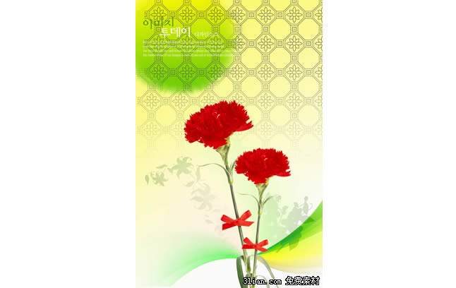 Two Carnations Psd Material
