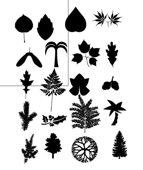 verschiedene Pflanzen silhouette
