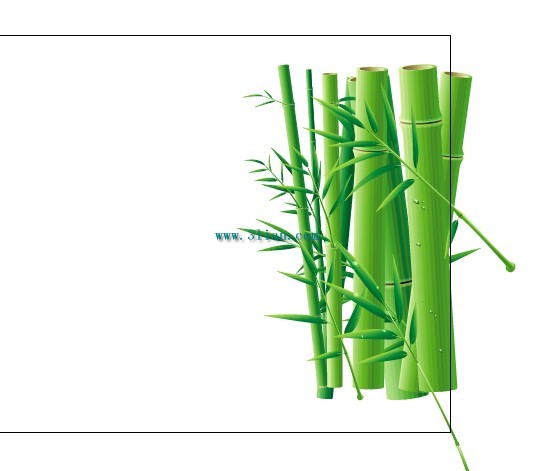 vektör bambu