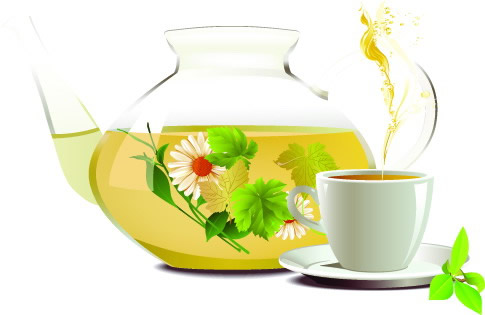 Vektor der Chrysantheme Tee