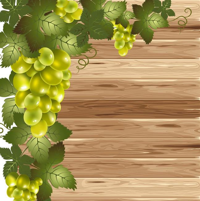 vecteur vigne décorative dentelle