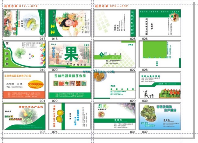 modelo de cartão de indústria de frutas e vegetais.