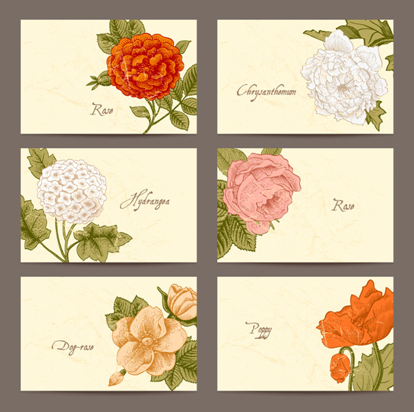 cartão de flores vintage