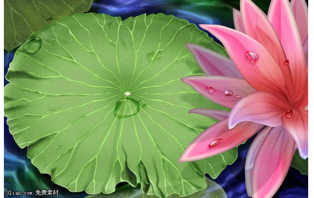 agua lotus psd material