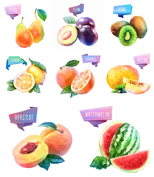 水彩的果实的设计