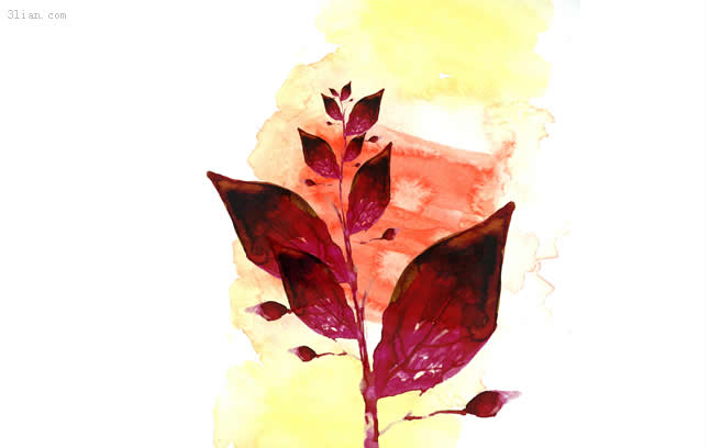 thực vật watercolor psd lớp vật liệu