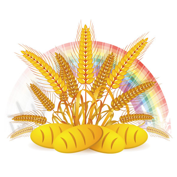 Priorità bassa del rainbow di pane di grano