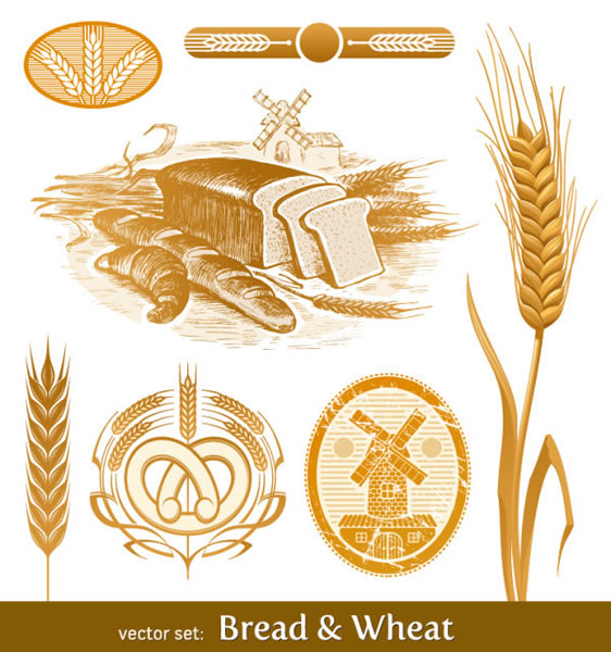 小麥食品手繪復古六