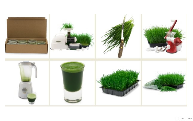 Wheat Grass Juice Png Icons
