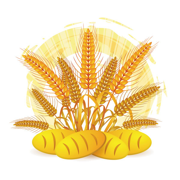 Wheat Pattern Background