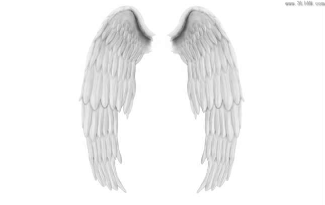 PSD e le ali di angelo bianco