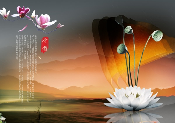 White Lotus Beautiful Background Psd Material