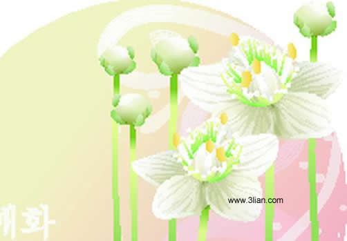 白のベクターの花