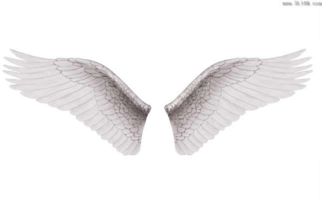 White Wings And Psd