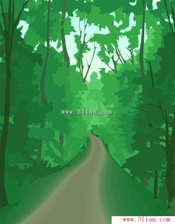 senderos de bosque