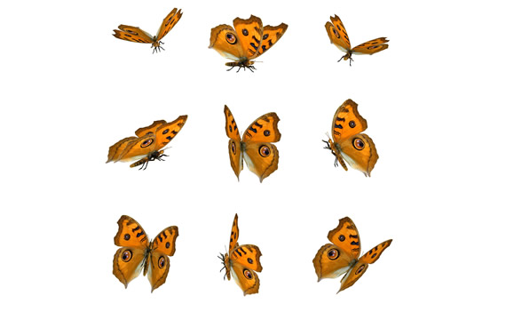 Yellow Butterfly Png Stuff