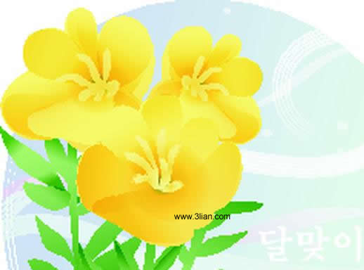 زهرة صفراء