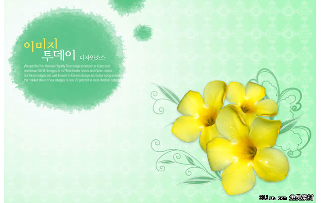 Yellow Flowers Psd Material