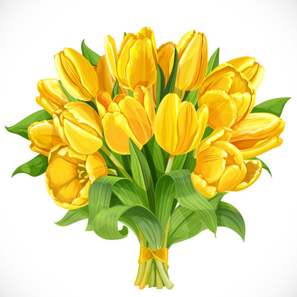 bunga-bunga tulip kuning