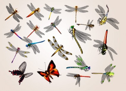 20 Dragonfly And Butterfly Psd