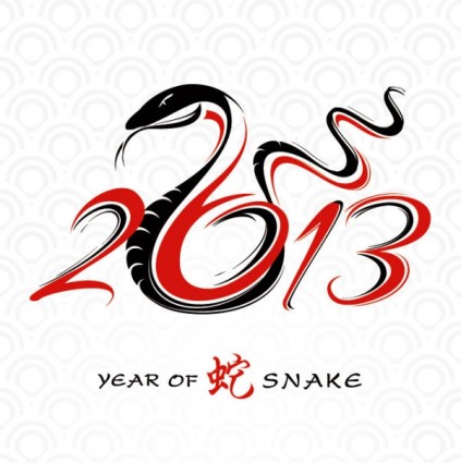 l'année 2013 du serpent design vecteur
