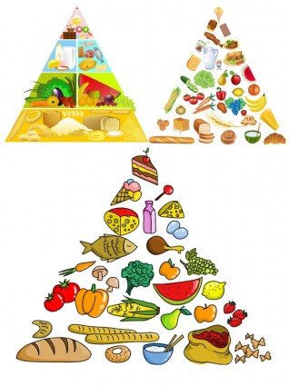 3 piramida makanan vektor