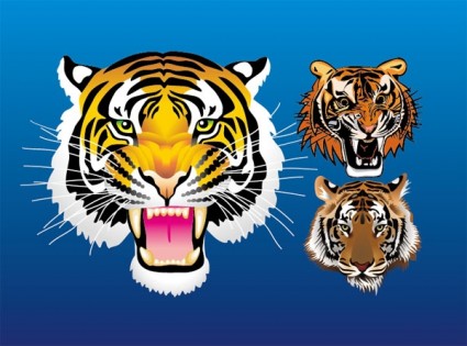 3 harimau kepala vektor