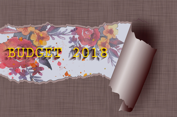 2018-Budget-Banner-Design mit reißen Malerei