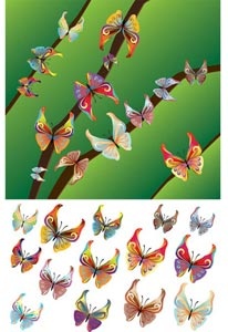30 abstract butterfly vẽ vector thiết lập
