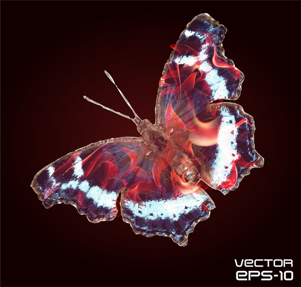 mariposa abstracta