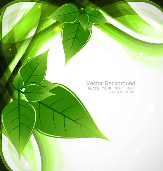 verde abstracto eco vive diseño de vector de onda de línea