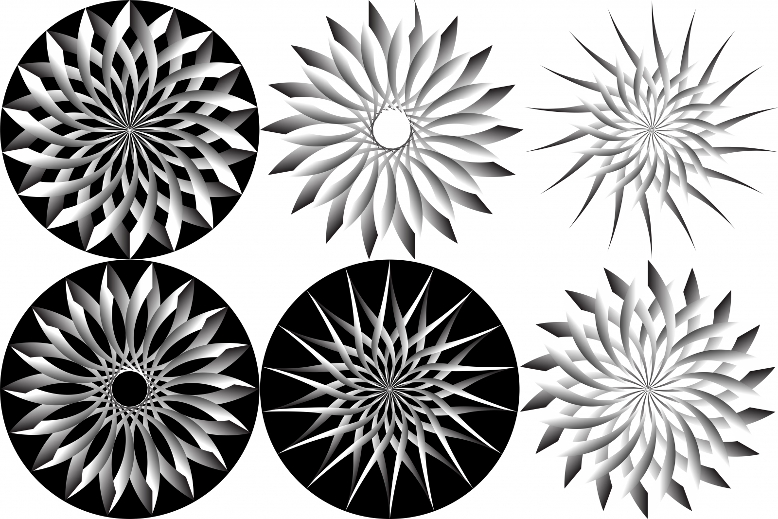 Абстрактные Цветы наборы иллюстрации в черно-белом