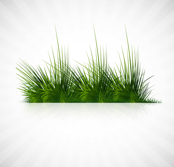 abstrata grama verde com ilustração de fundo reflexão vetorial whit