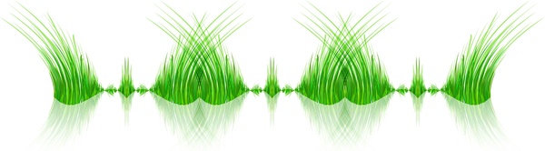hierba verde abstracta con ilustración de fondo de reflexión vector whit