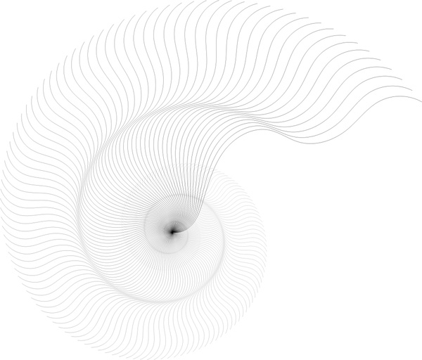 Resumen ilustración de vector de dibujo de nautilus en negro, blanco