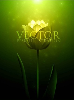 Advertising Poster Flower Background Vector