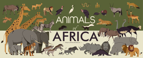 afrika afiş vahşi hayvanlar türleri eskiz renkli klasik
